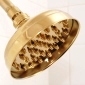 polished brass rain showerhead