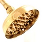 polished brass rain showerhead