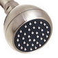 supreme brushed nickel shower head