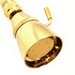 polished brass shower heads