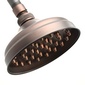 oil-rubbed bronze rain shower head