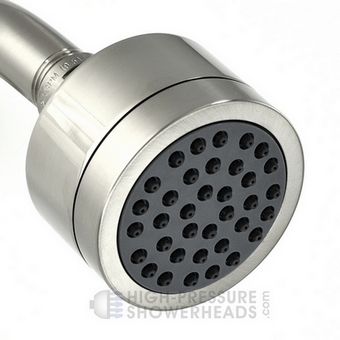 Forza shower head in brushed nickel